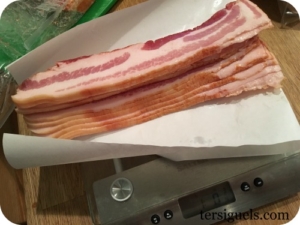 bacon-on-scale-tersiguels